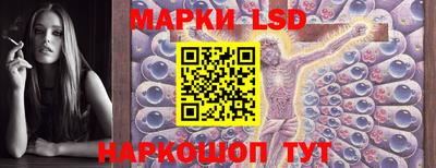 молекула духа Кингисепп