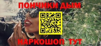 молекула духа Кингисепп