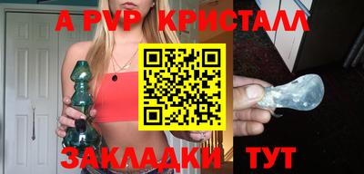 молекула духа Кингисепп