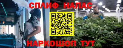 индика Кинель