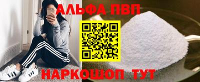 молекула духа Кингисепп