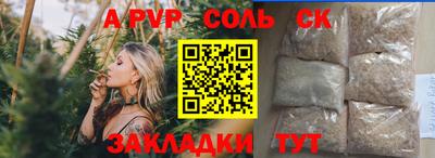 молекула духа Кингисепп