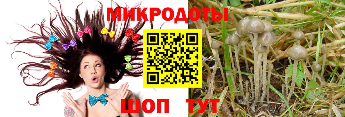 Галлюциногенные грибы MAGIC MUSHROOMS Шатура