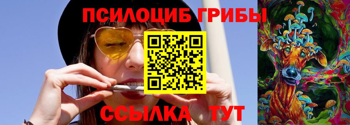 Псилоцибиновые грибы Magic Shrooms  Вход с VPN  Шатура  Псилоцибиновые грибы MAGIC MUSHROOMS 