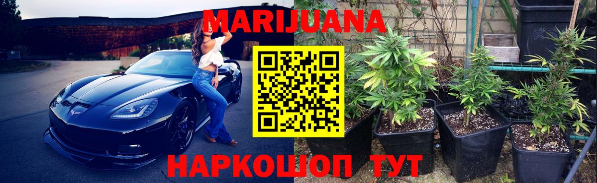Конопля Bruce Banner Шатура